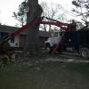 Removal of a dead tree close to house is no problem for TreeHuggers